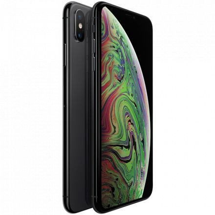 Apple iPhone Xs Max 64 ГБ Space Gray 